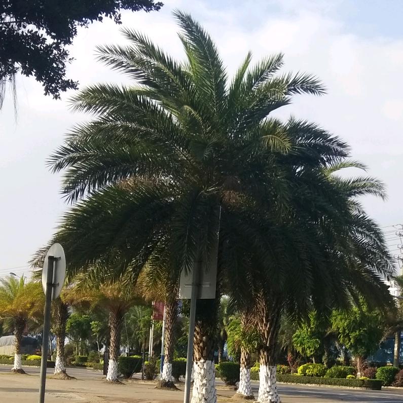依旧