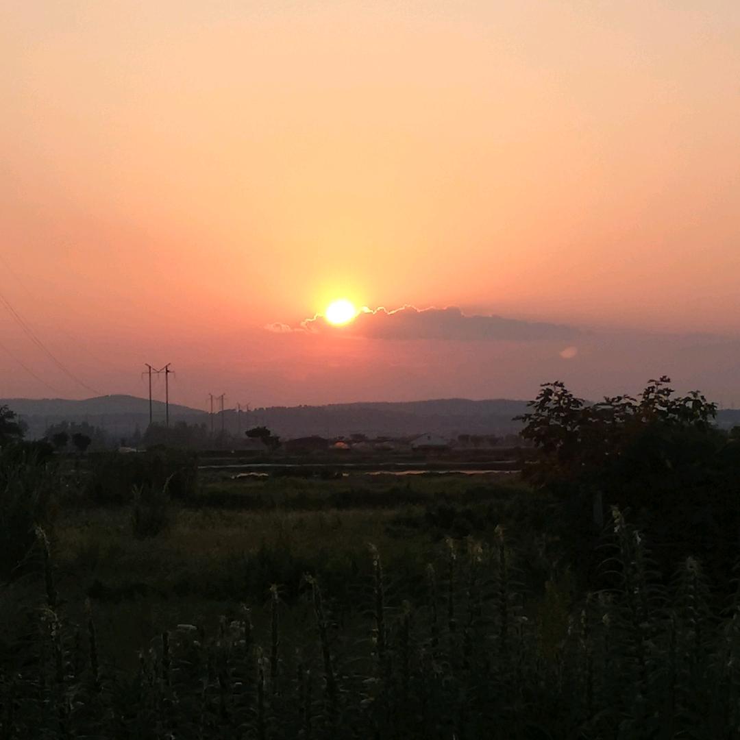 敖玄