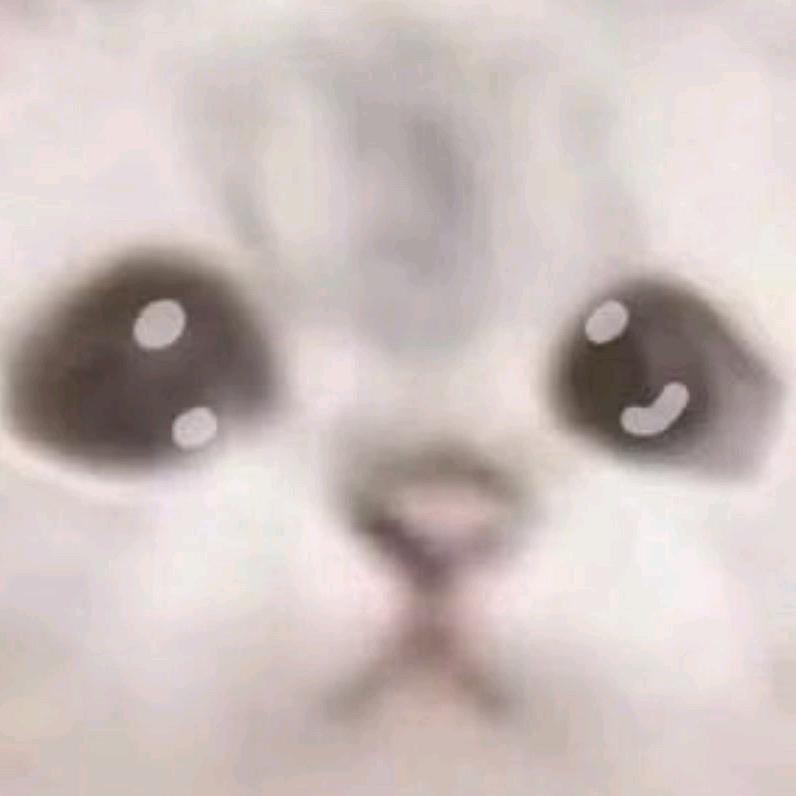 waqd