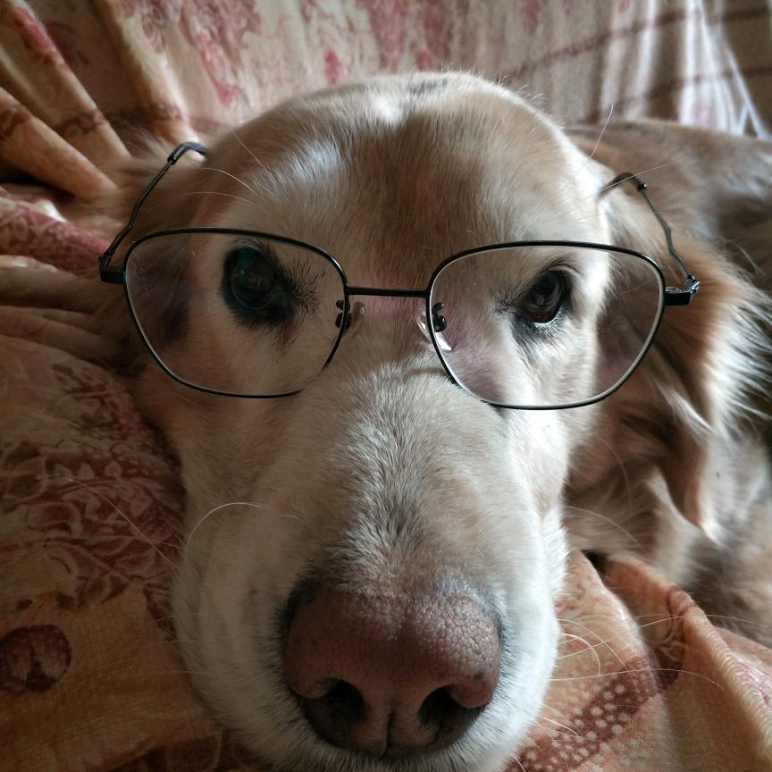 瞰龙城☆石头的石