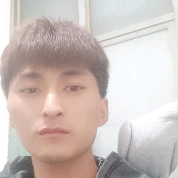 林林*^_^*观赏鸡