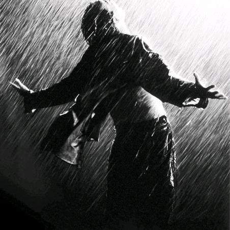 菊花灿烂向太阳