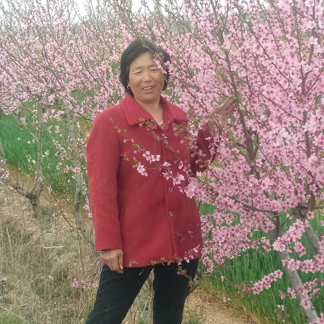 浩楠奶奶