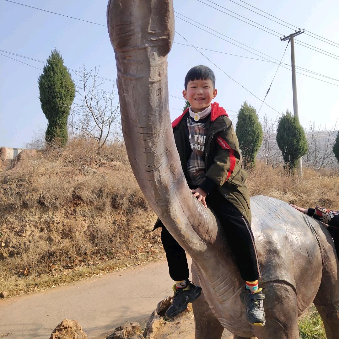 开心鸭鸡柳卷饼(淮南街店)专用号