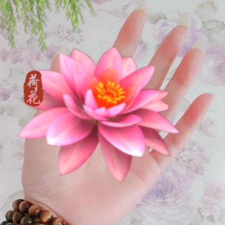 忘掉曾经