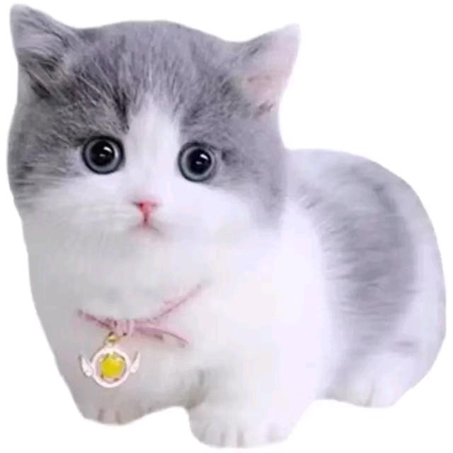 吉祥@