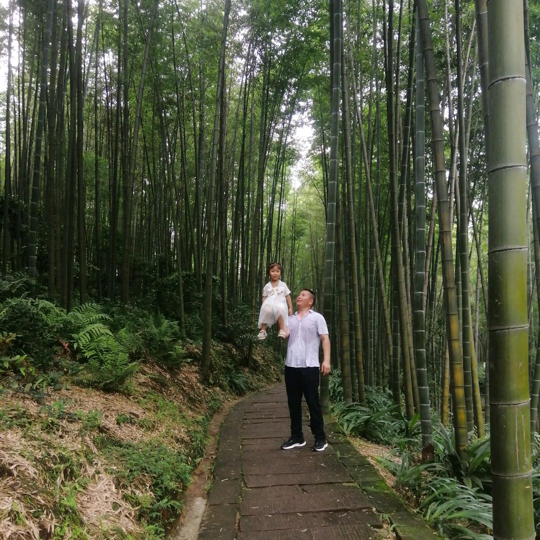 自在凡尘