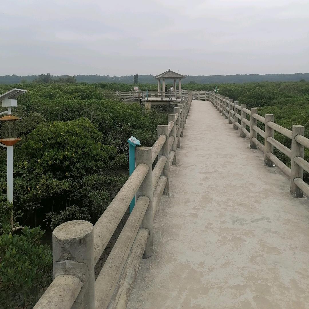 感恩.遇见