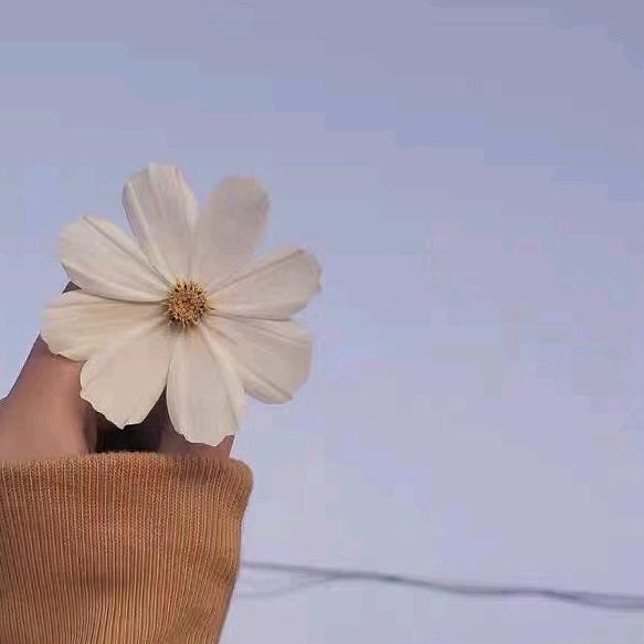 小精灵百货推荐