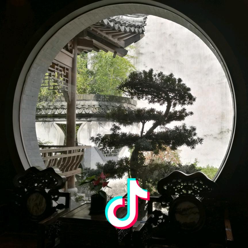 䛊魅善朝🕉森金草