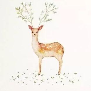 解 多 🐠（解家二郎）