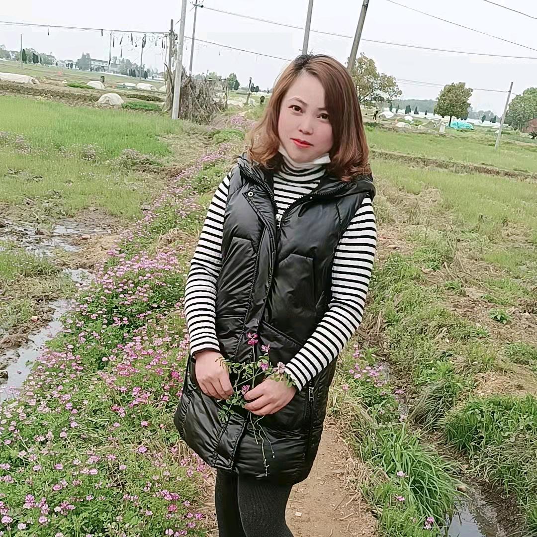 曹家的姑娘