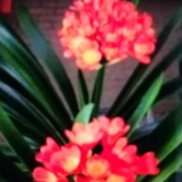 开心就好开心就好