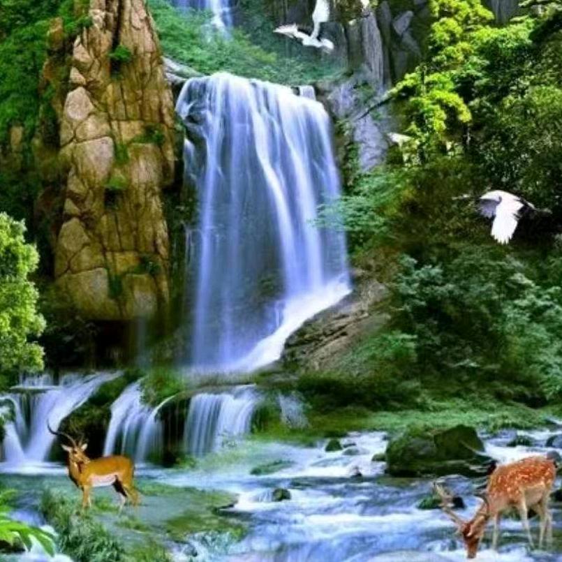 参一相一，谁可相因