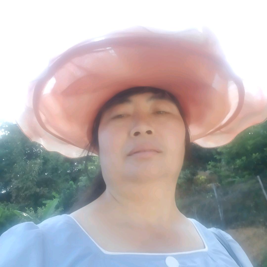 雨中的蔷薇