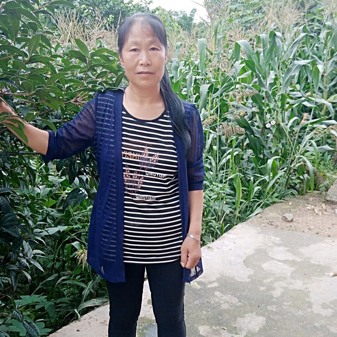 张习群