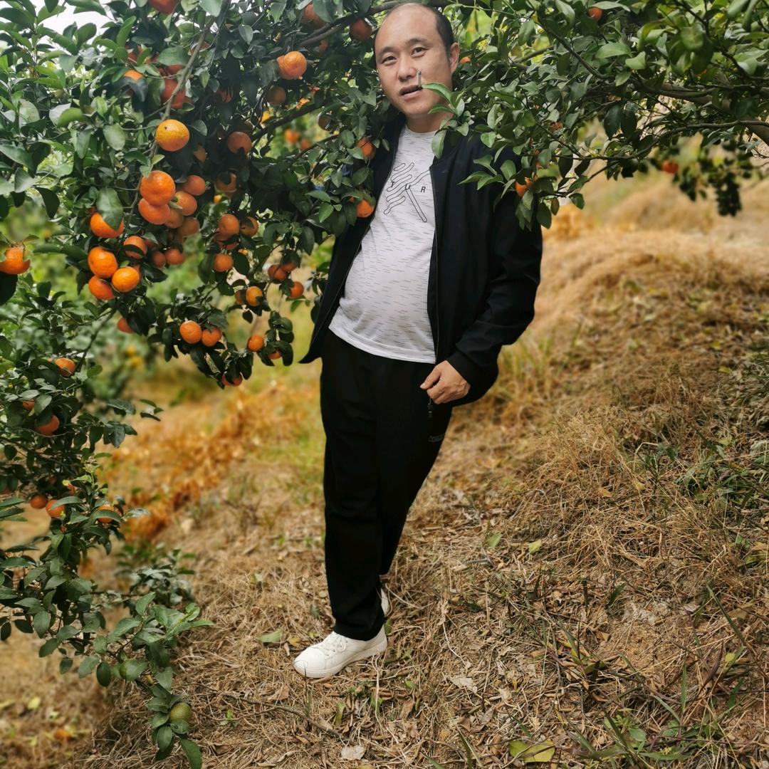 永远有个你