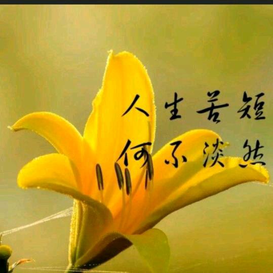 幸运草🍀