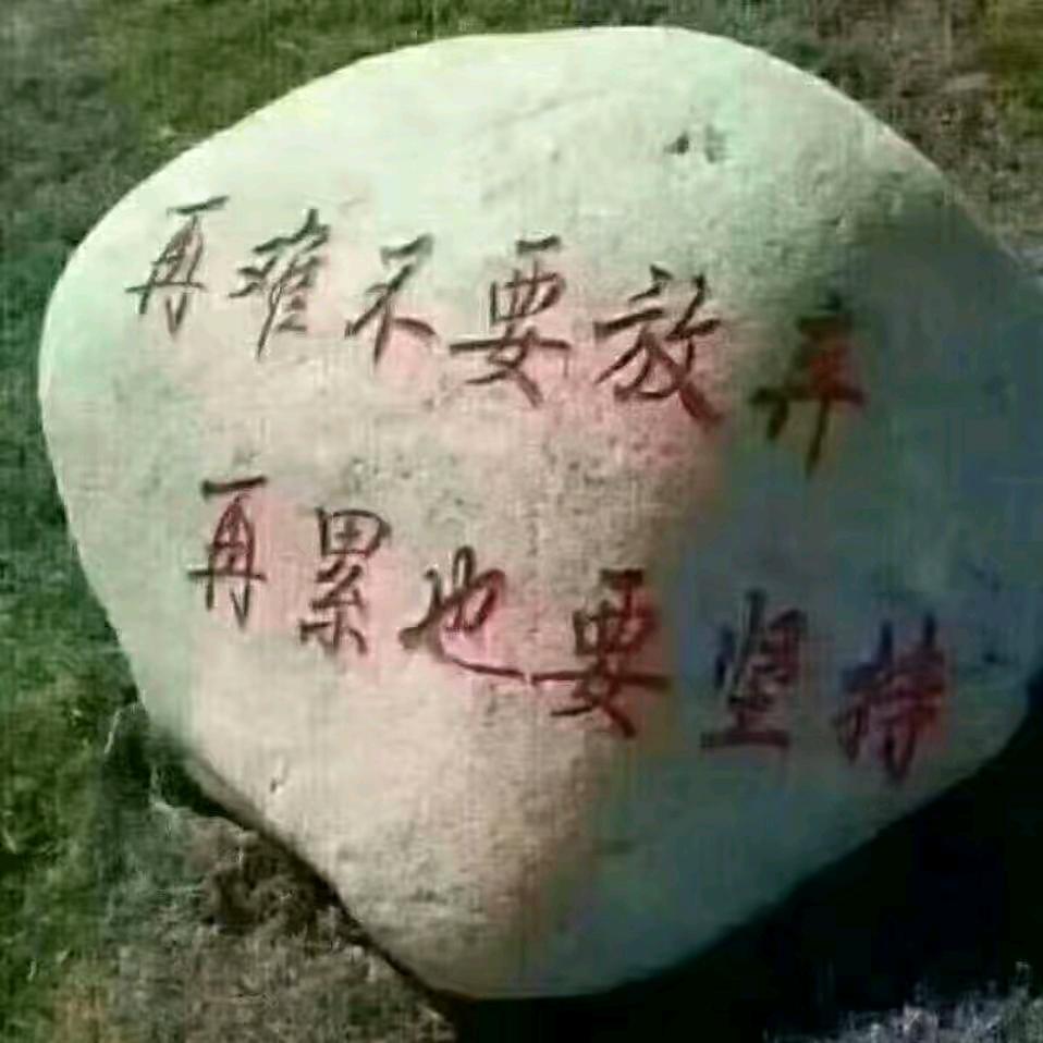 坚持到底，