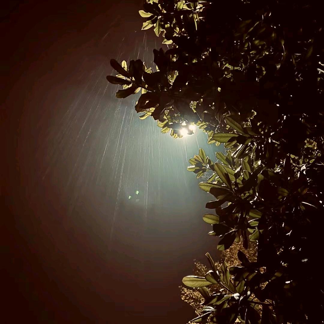 余小鱼
