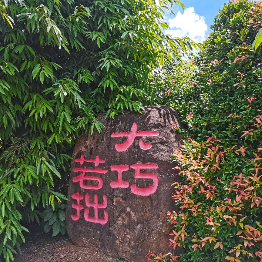用户7962544876367