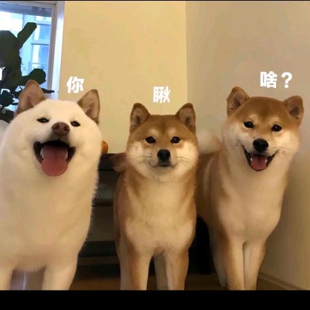 🫧