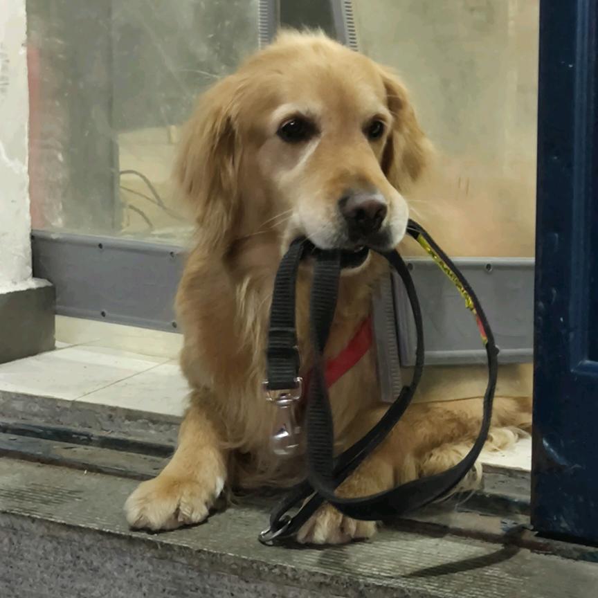 延边宝来屋房屋信息咨询有限公司