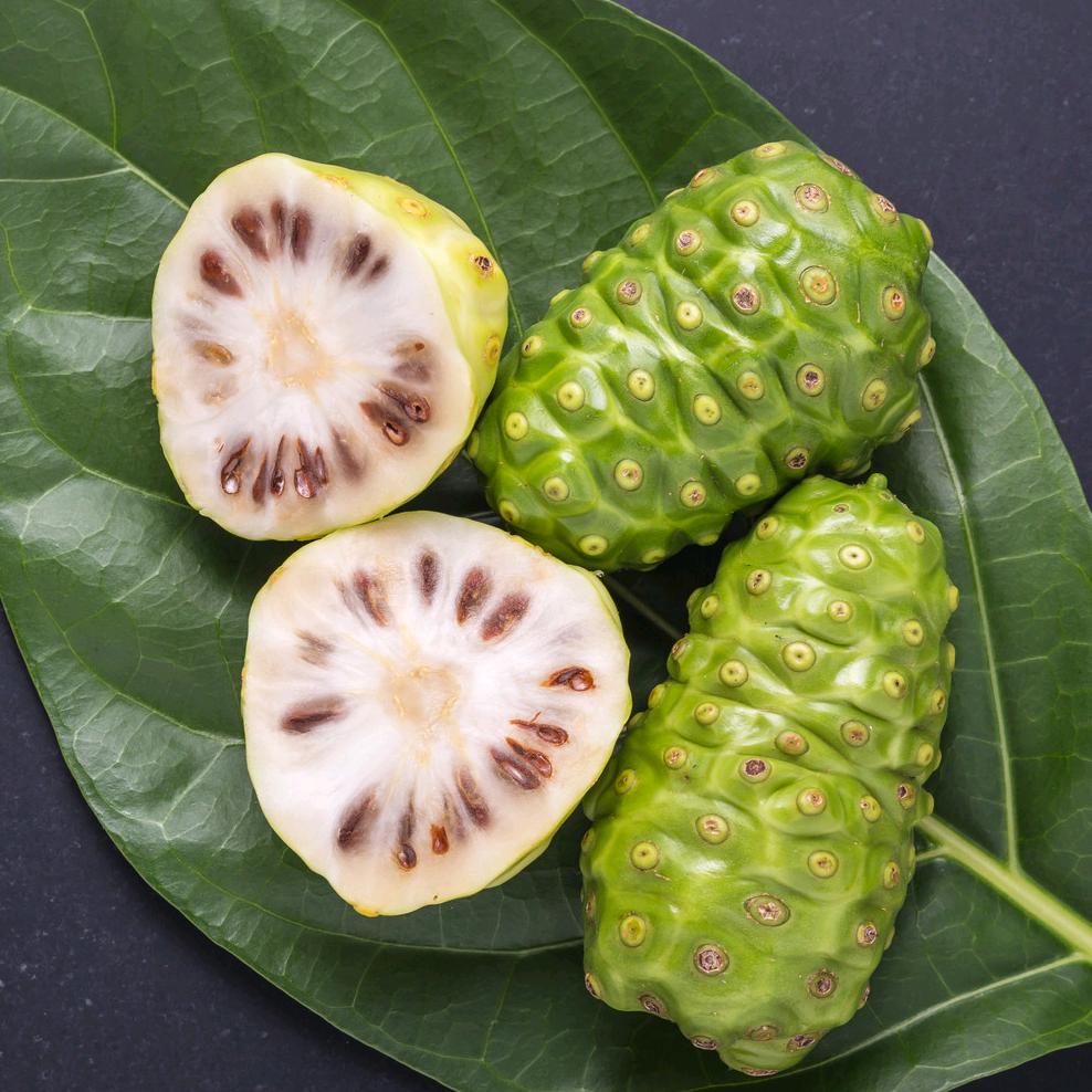 诺丽椰子油品牌工厂