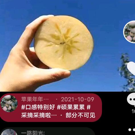 羊寨沙淤广发苹果🍎自摘园