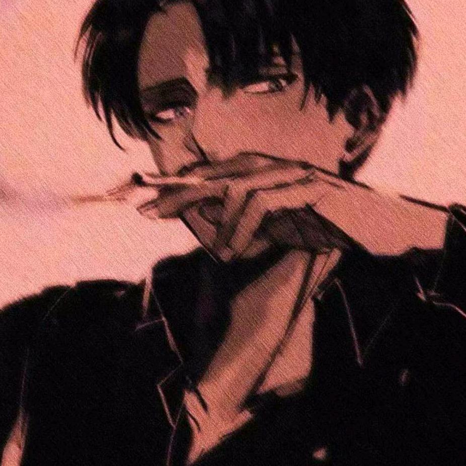 hs®