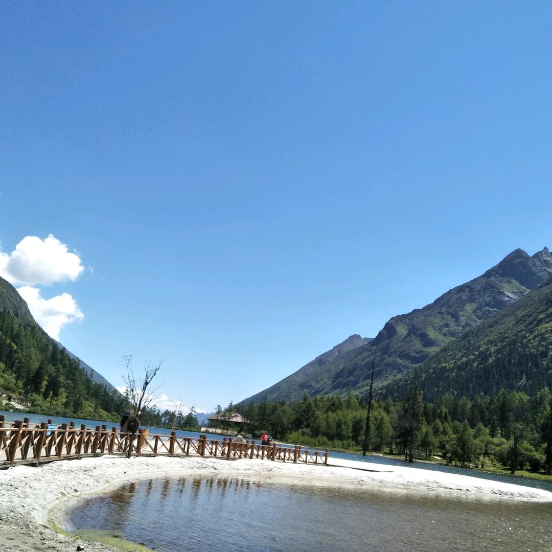 勇敢的心灵魂伴侣