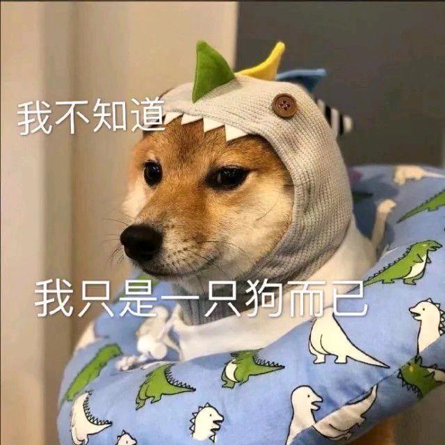 闫焗烤乳猪