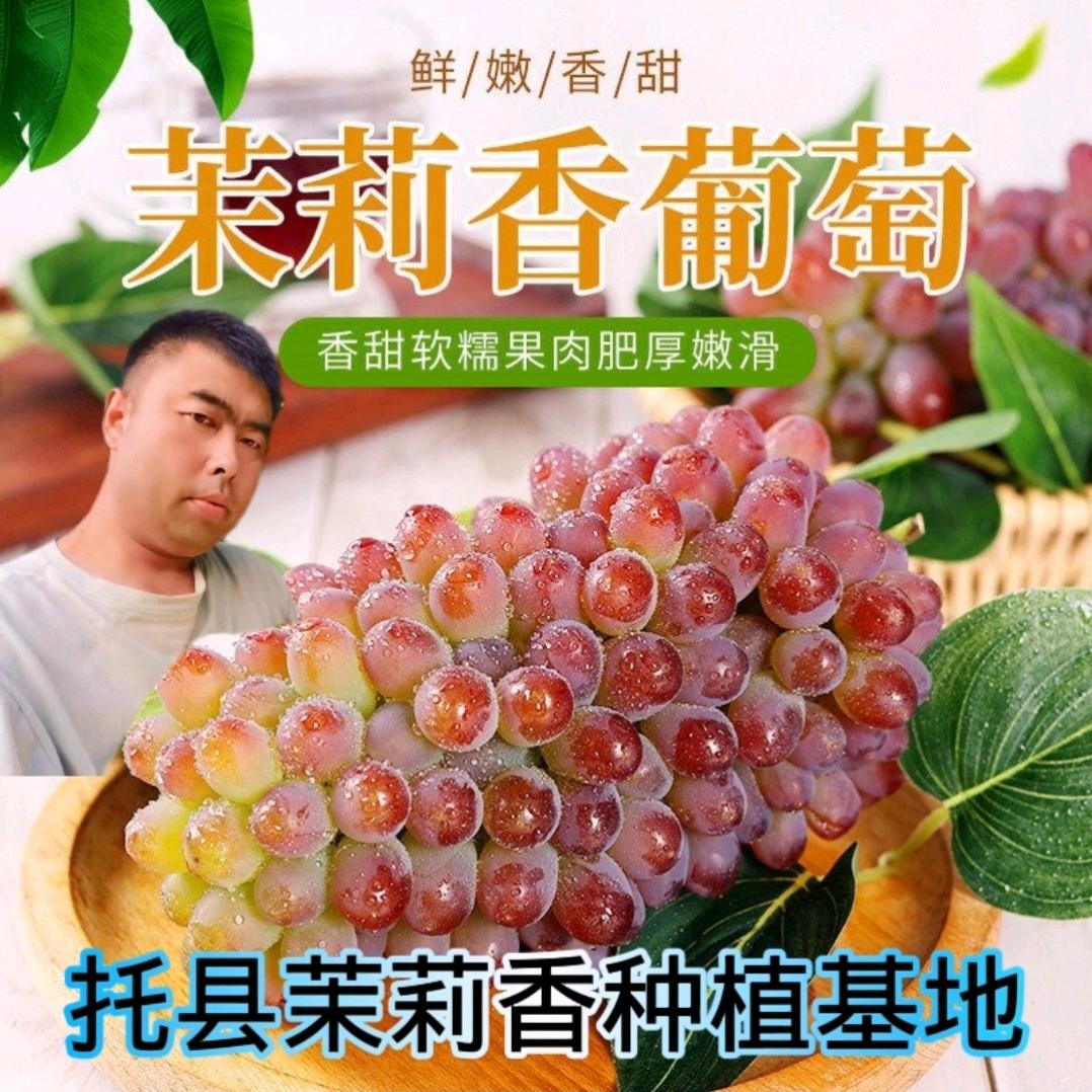 神泉🍇葡萄小镇