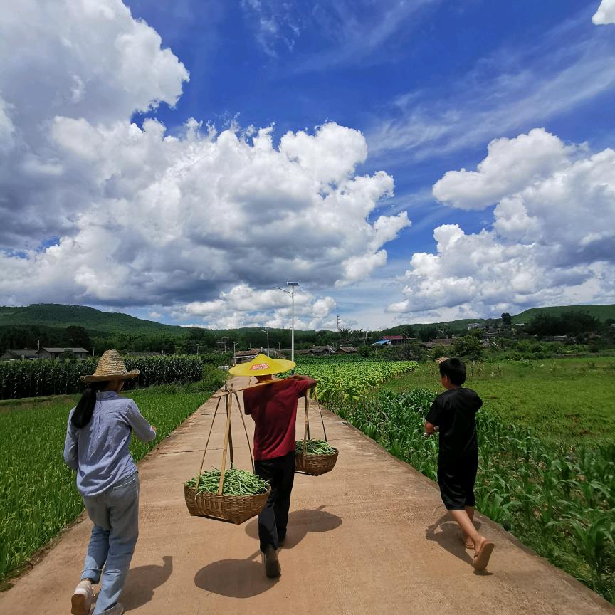 又单老子，又单娘