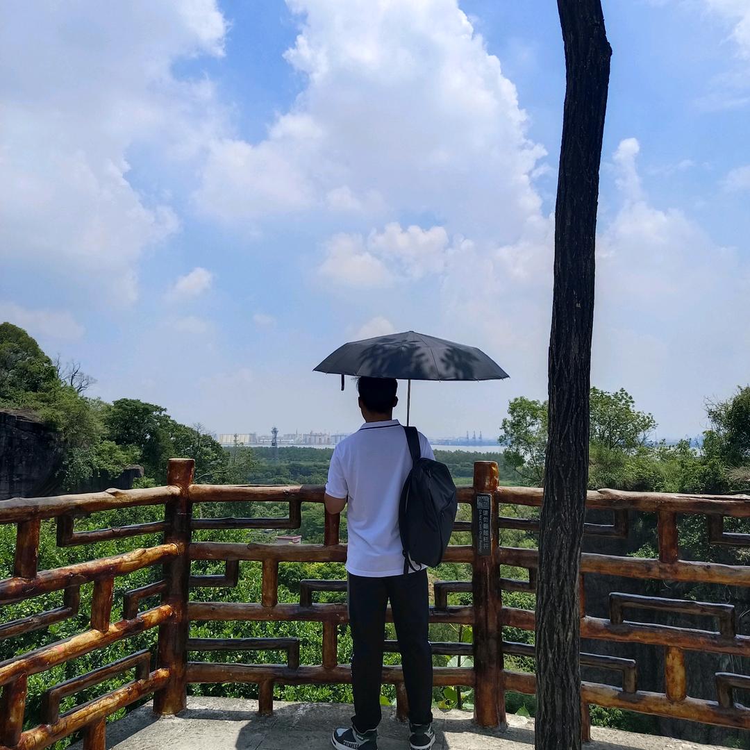 张一哥