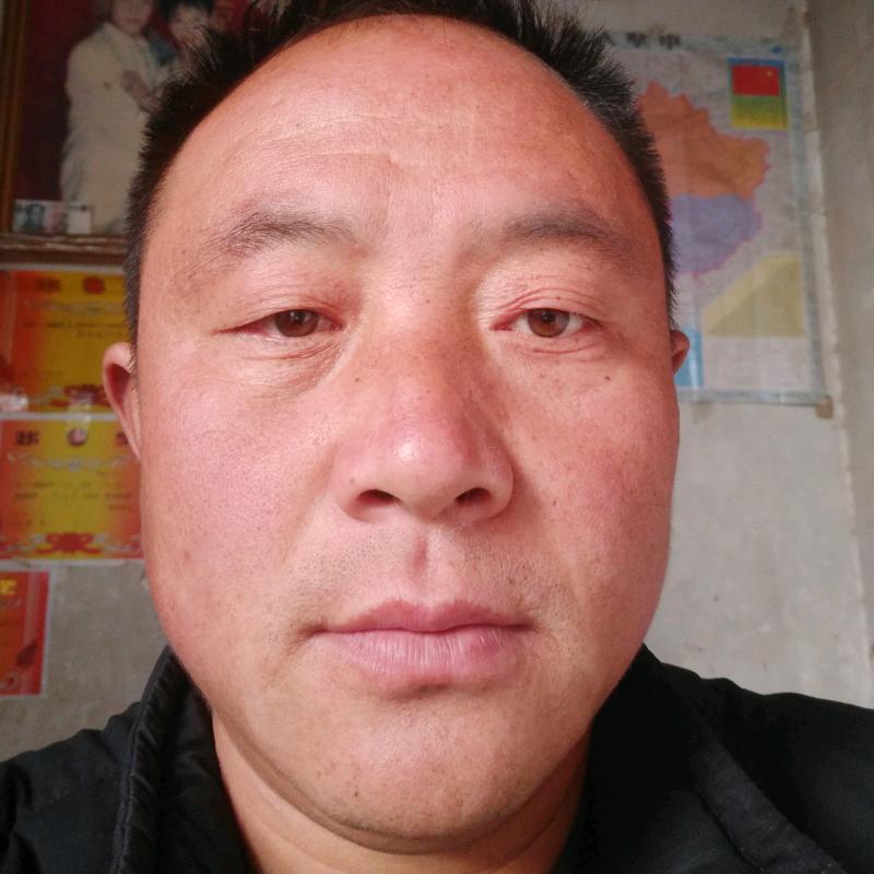 老巩西兰花商贸