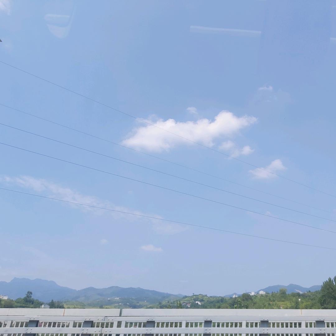 海绵宝宝的liu宝宝