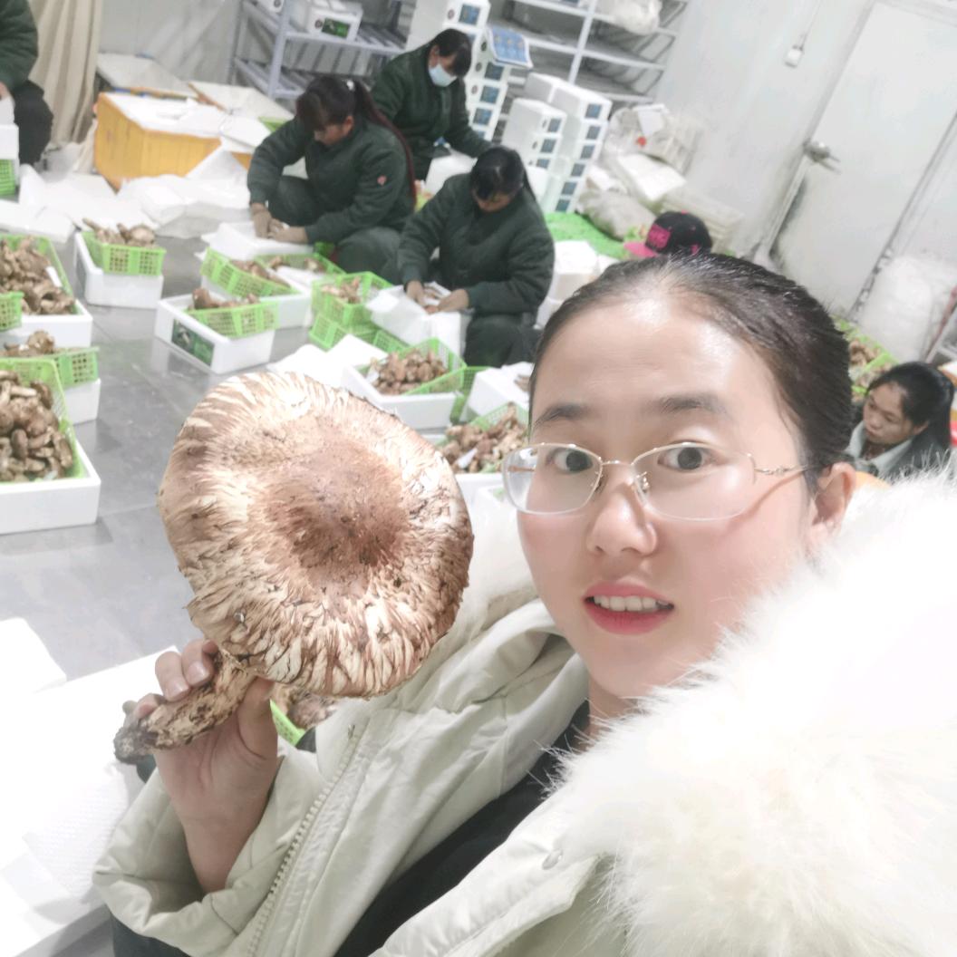 刘观桦钥