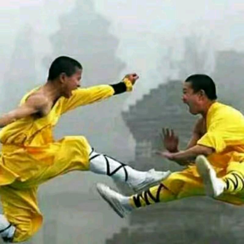 中华杰龙