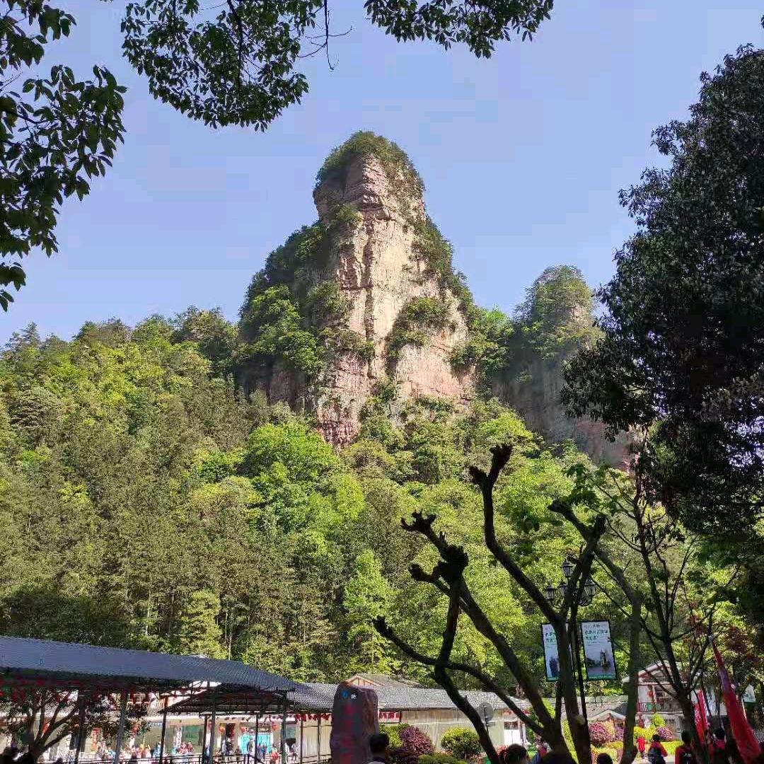 玉姐