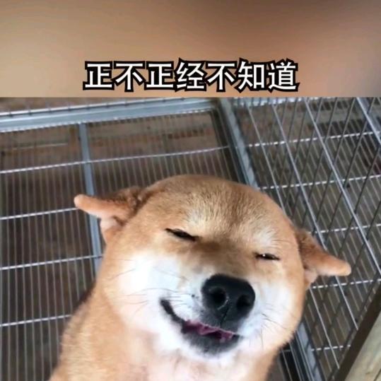 鬼哥