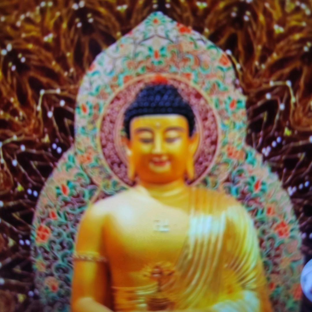 自由飞翔