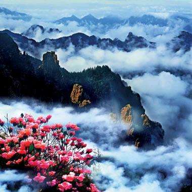 风景独好