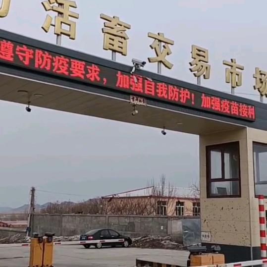 北方活畜交易市场
