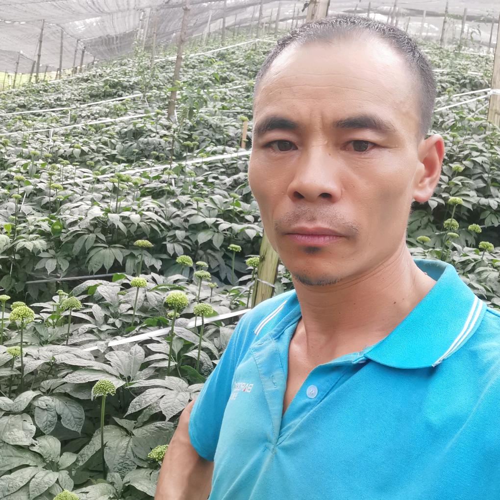 老窦