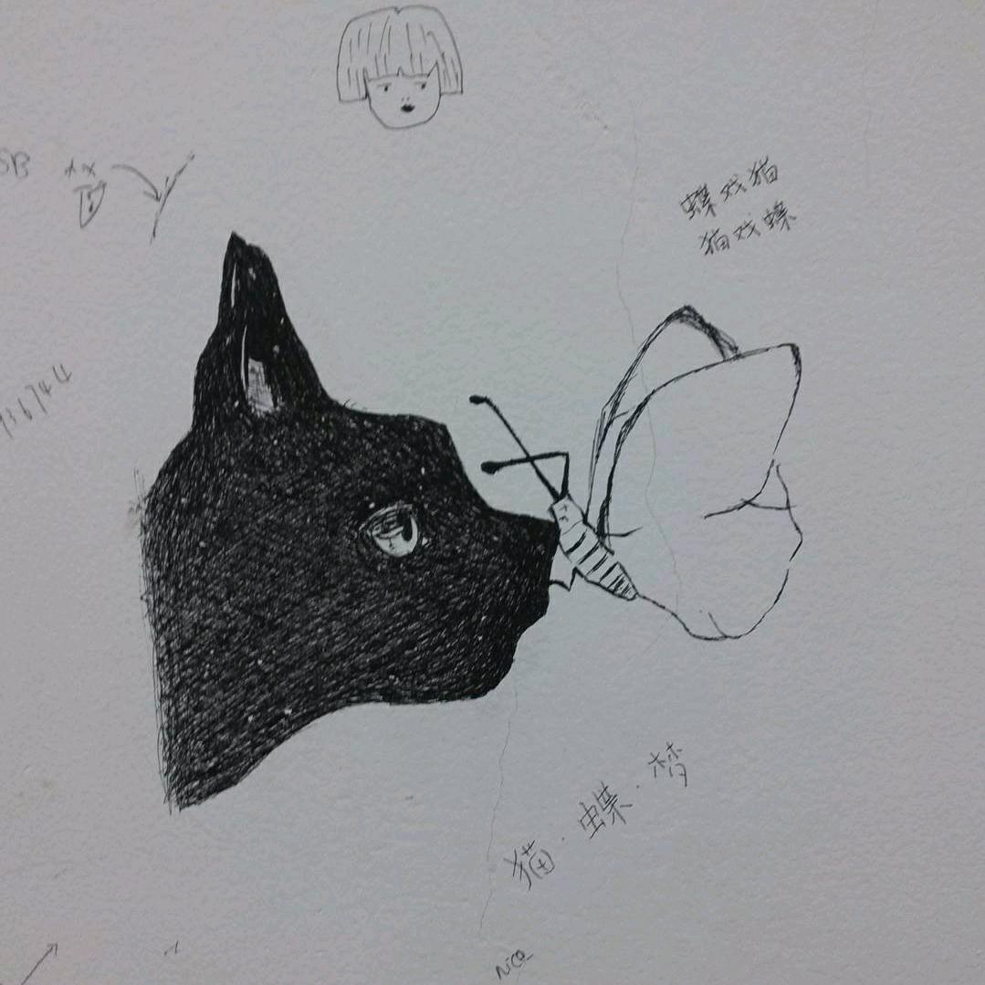 卡肉