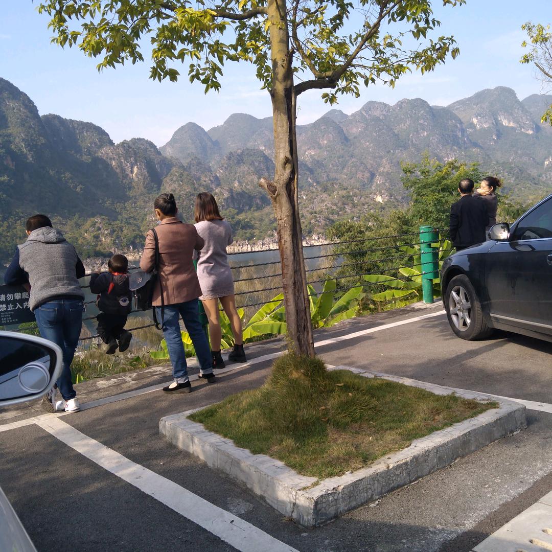 (⸝⸝⸝⋅⃘᷄ 落叶·̭ ⋅⃘᷅⸝⸝⸝)