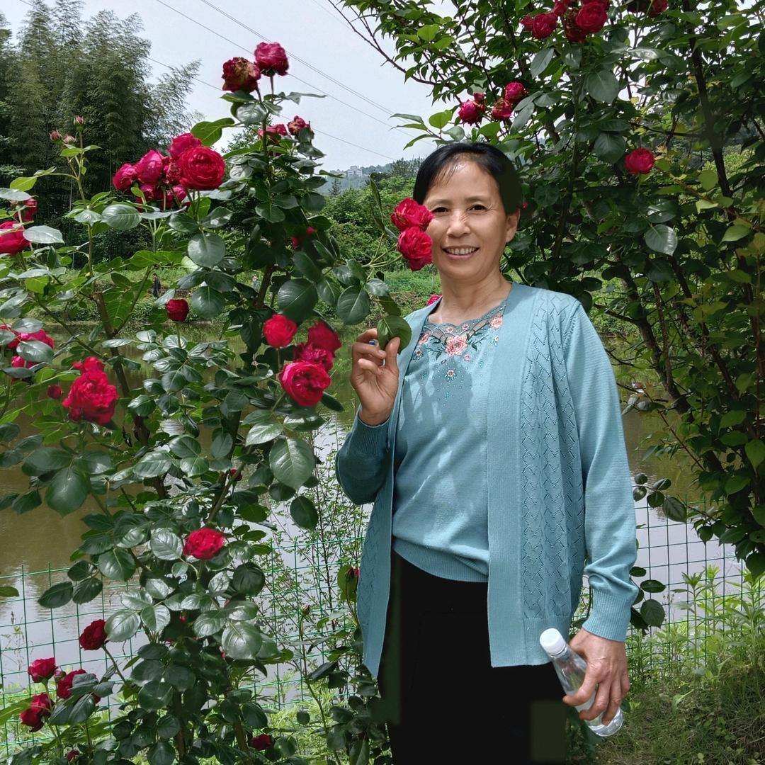 芬芬