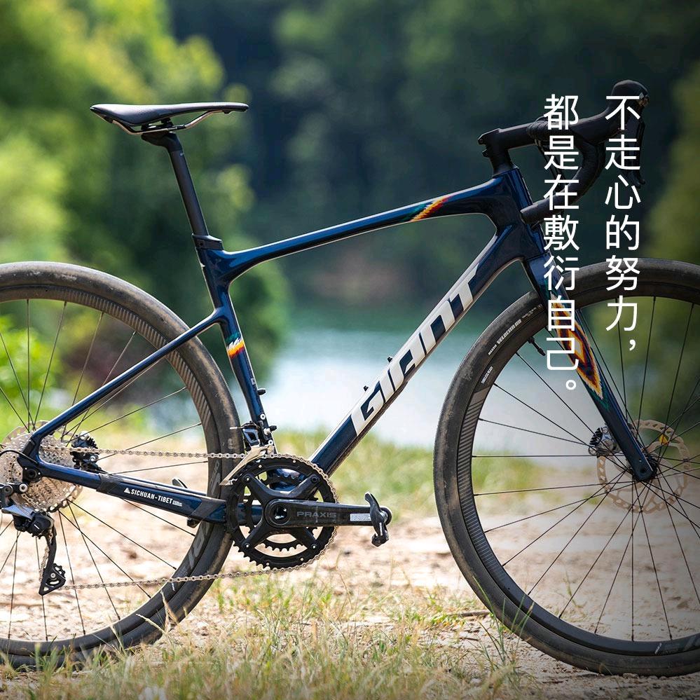 虎林捷安特大成