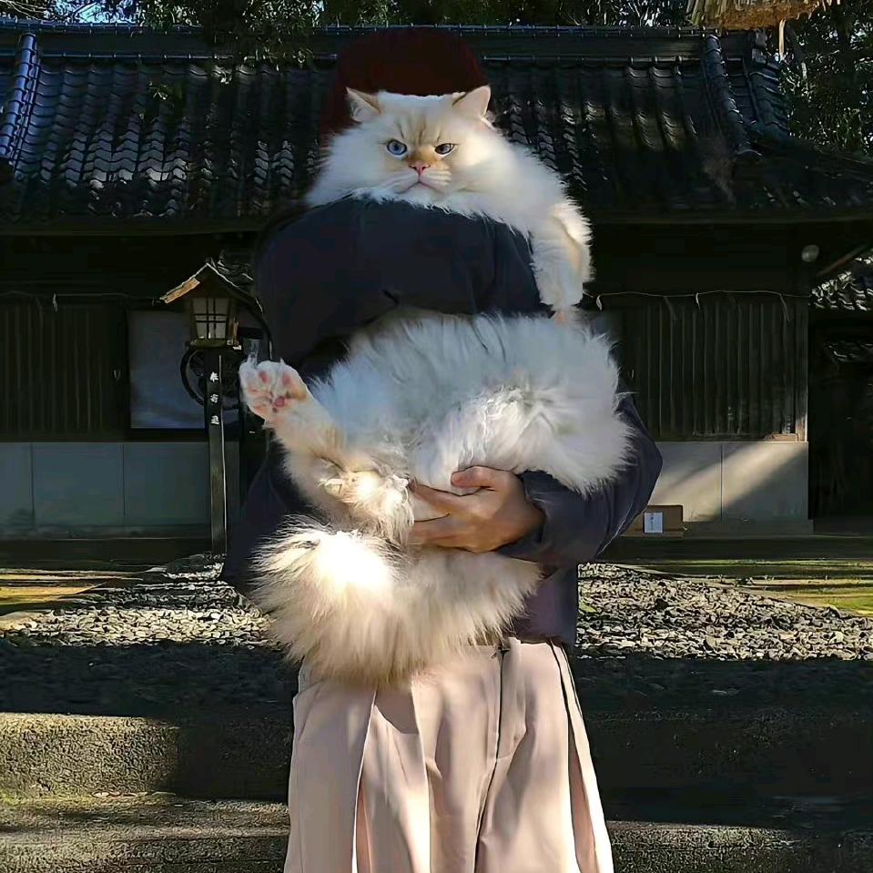 浮生暂寄梦中梦世事如闻风里风头像